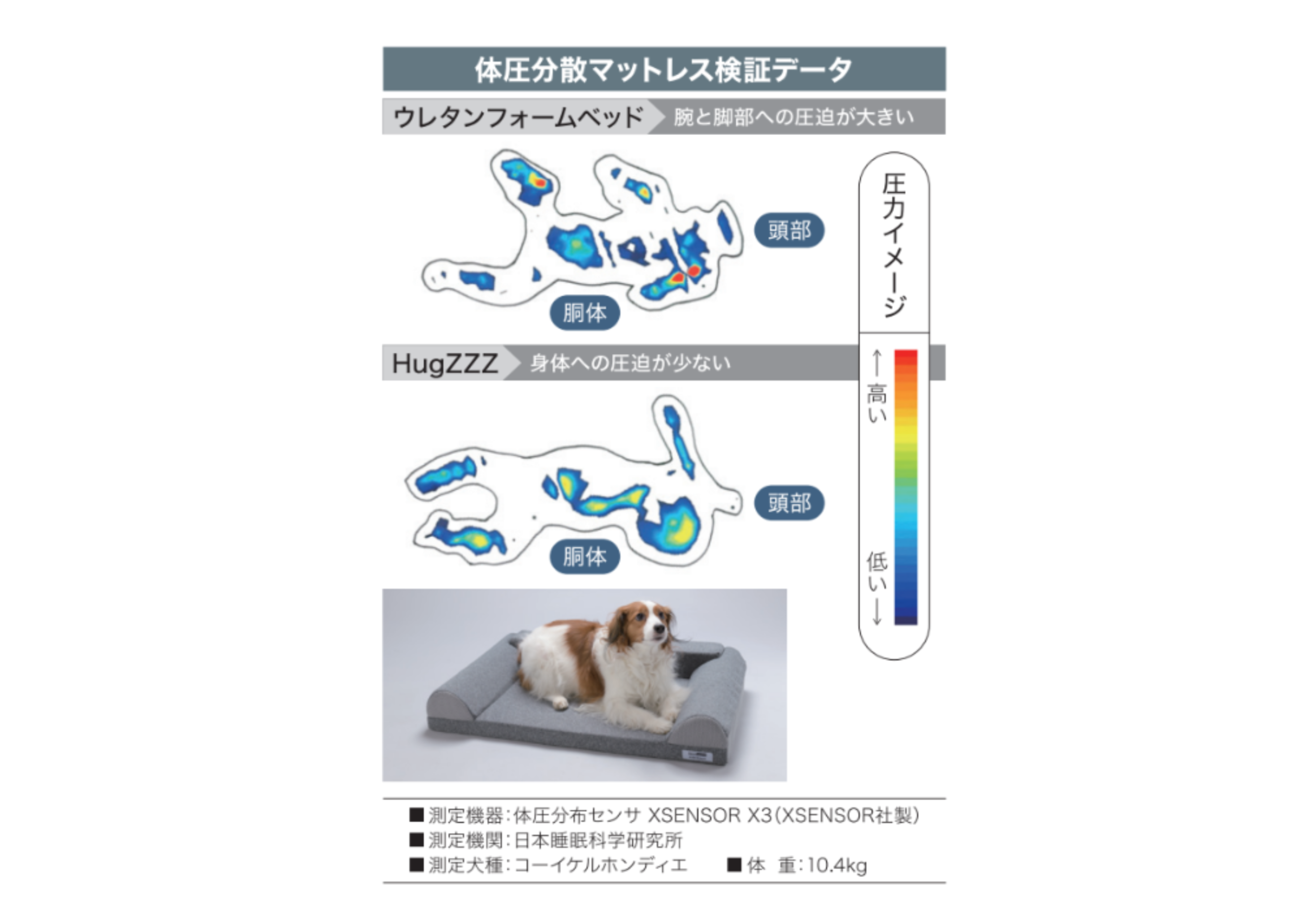 HugZZZ-ハグズ-(愛犬用ベッド)