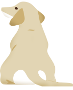 Dog image