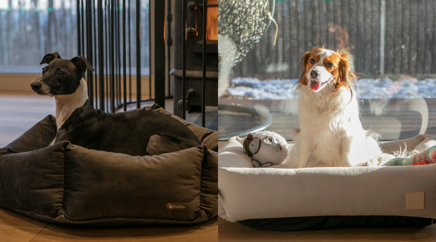 ペットと泊まれる宿泊施設向けアメニティ 1