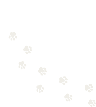 Pet footprints