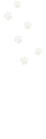 Pet footprints