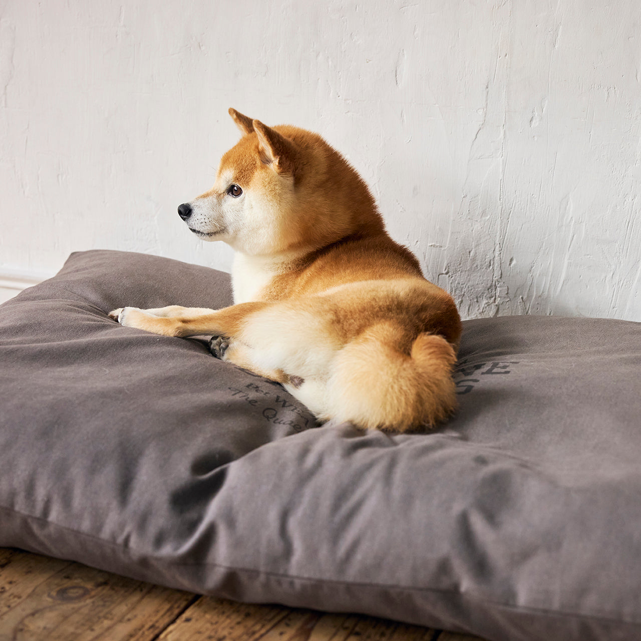 【メーカー直送品】コージーベッド