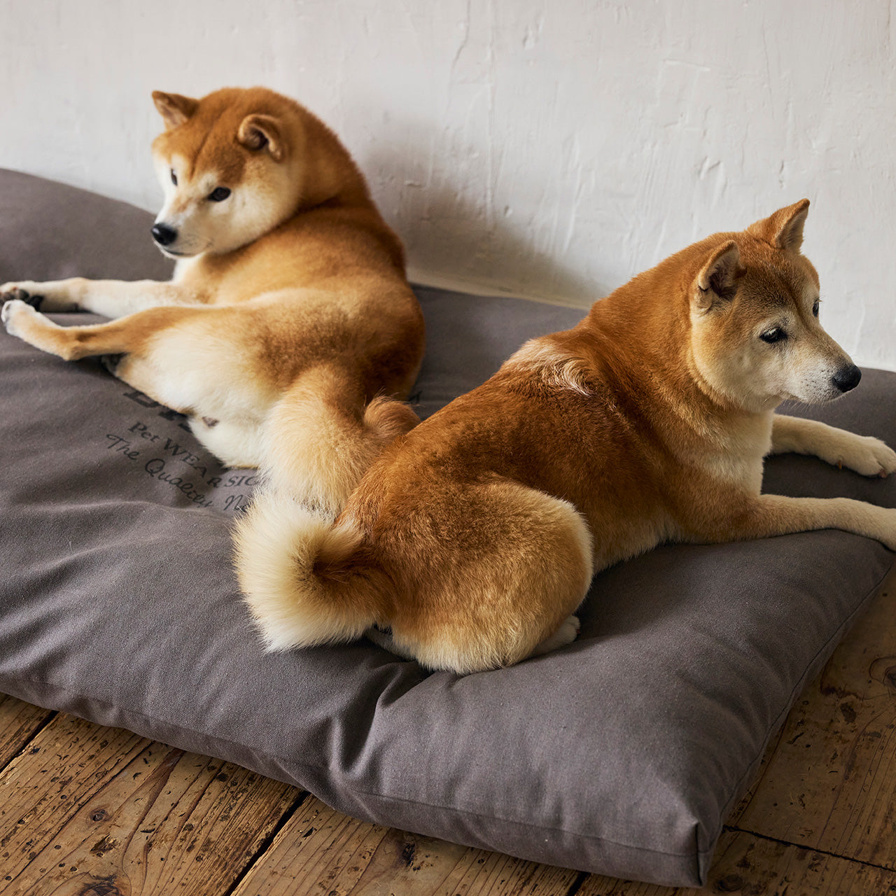 【メーカー直送品】コージーベッド