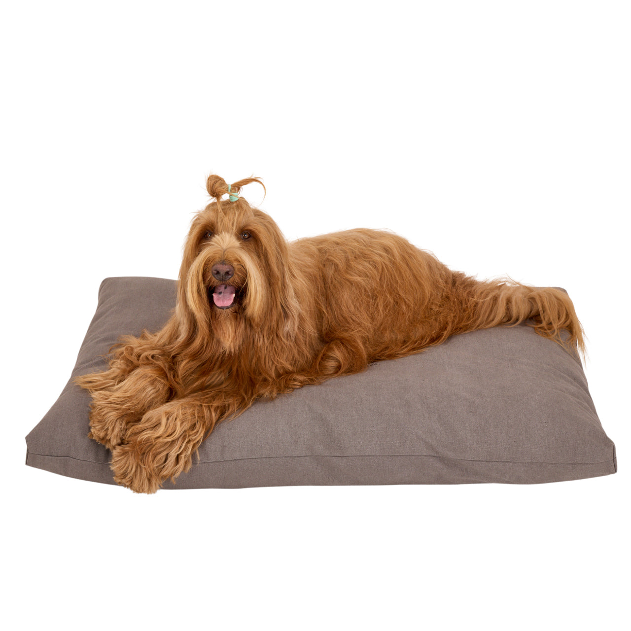 【メーカー直送品】コージーベッド