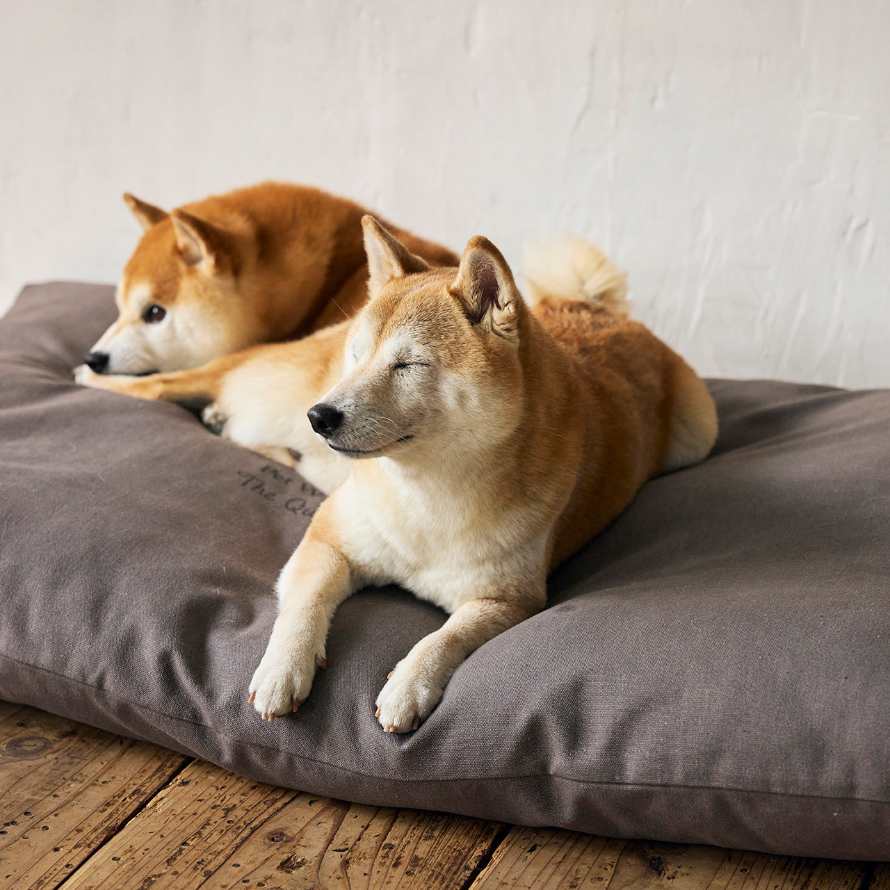 【メーカー直送品】コージーベッド