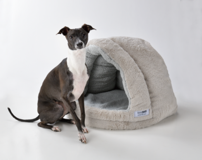 Pet using Iori bed in living room