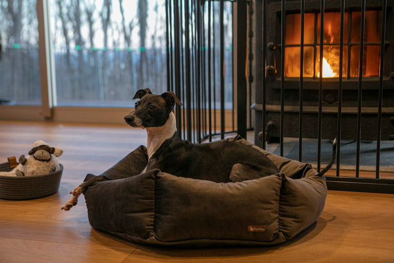 ペットと泊まれる宿泊施設向けアメニティ 1