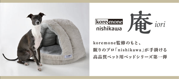 koremone nishikawa