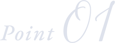Point 01