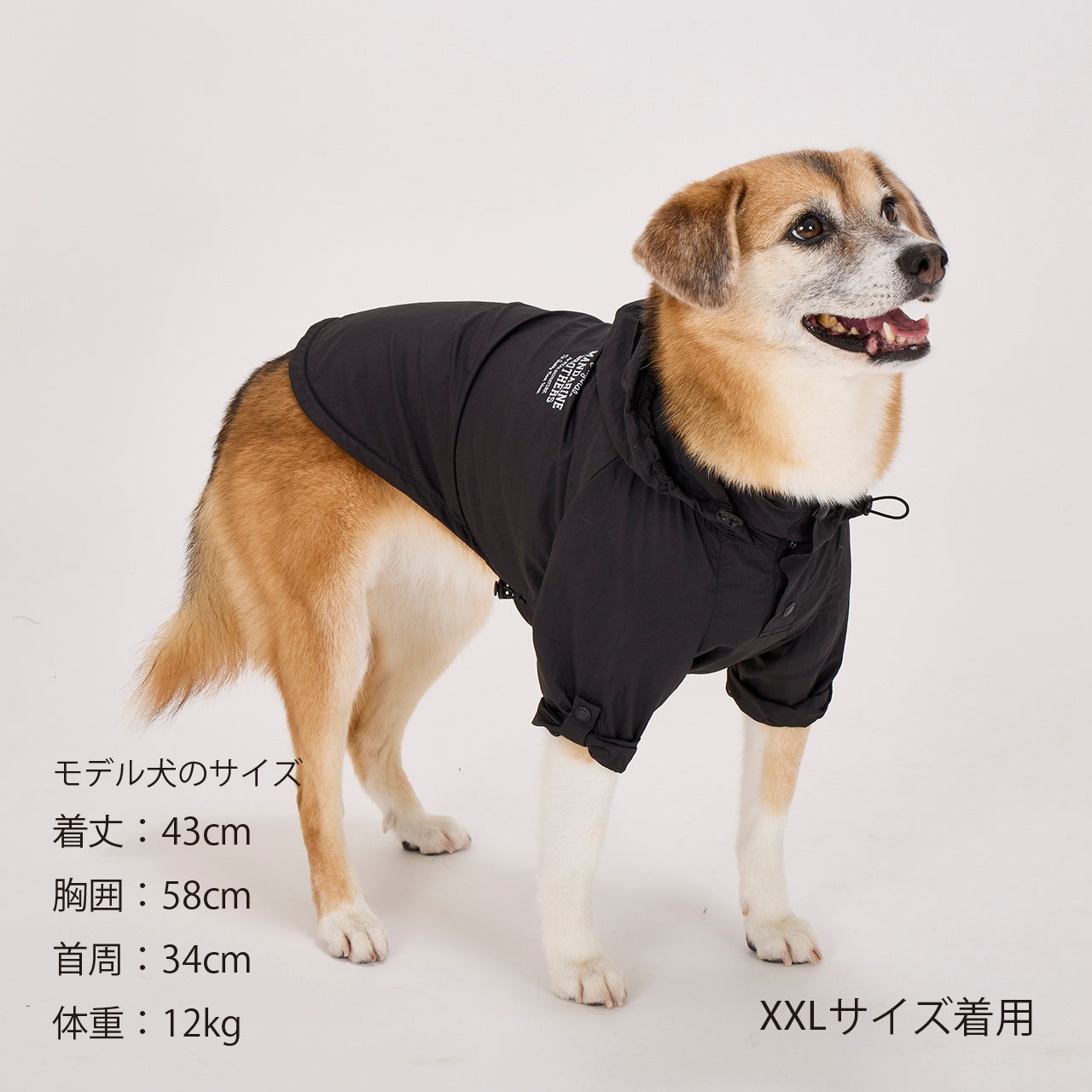 【取寄品】ウィンドブレーカー
