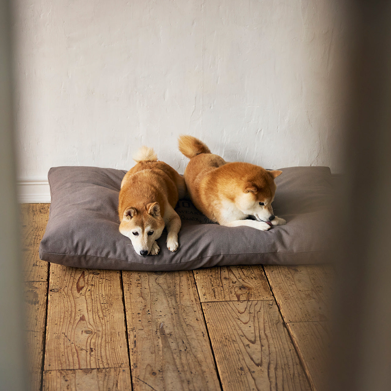 【メーカー直送品】コージーベッド