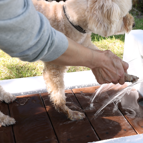 犬の手足洗浄用ガーデンパン