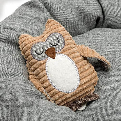 フクロウのオリー
