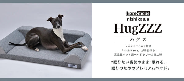 koremone nishikawa hugzzz