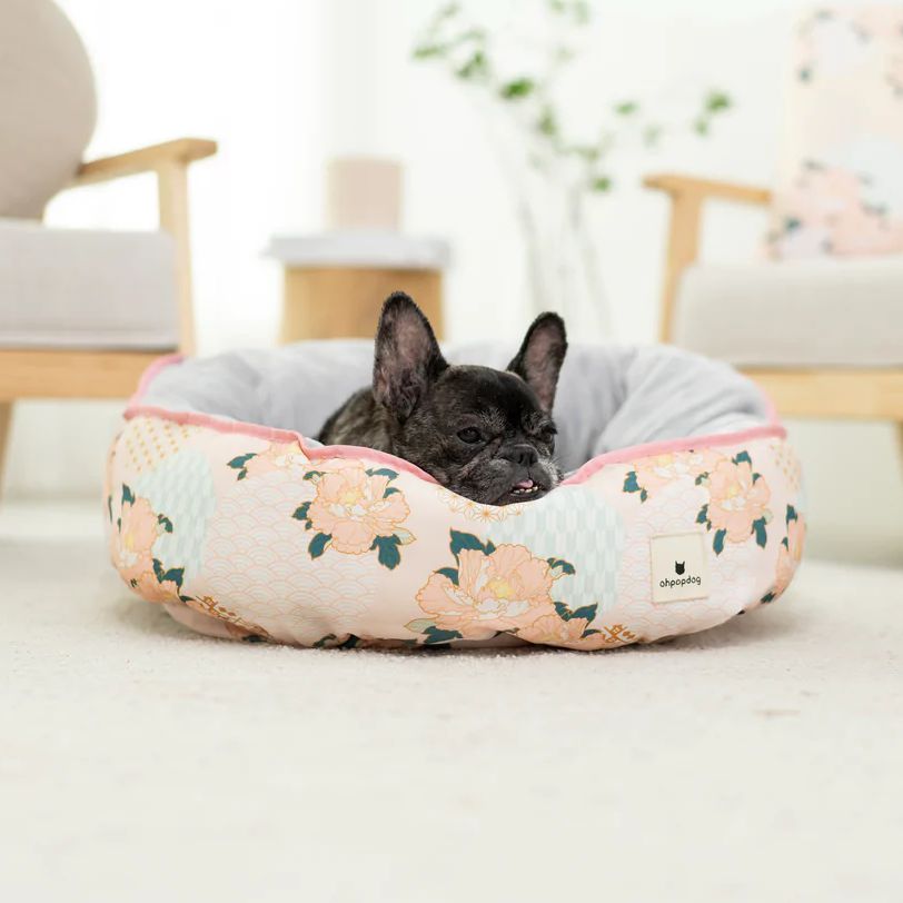 【最終】nishikawa製 西川 ペット用ベッド　庵　いおり　犬 庵-iori-（ペット用ベッド）