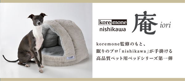 koremone nishikawa